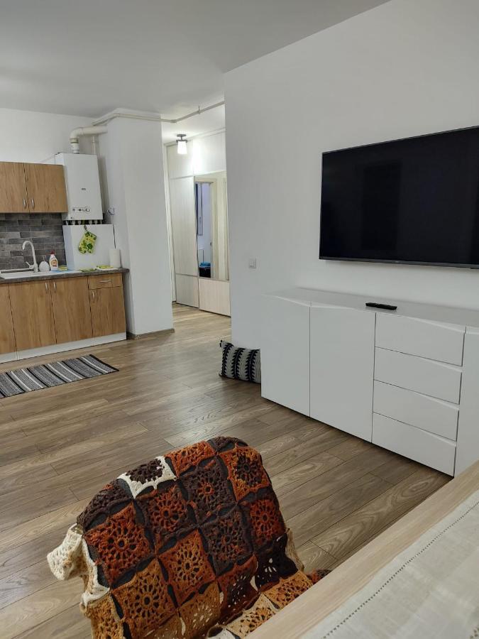 Casa Ioana Daire Târgu-Mureş Dış mekan fotoğraf