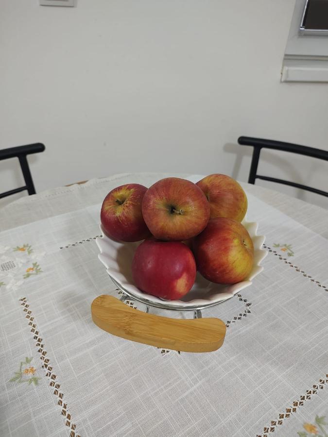 Casa Ioana Daire Târgu-Mureş Dış mekan fotoğraf