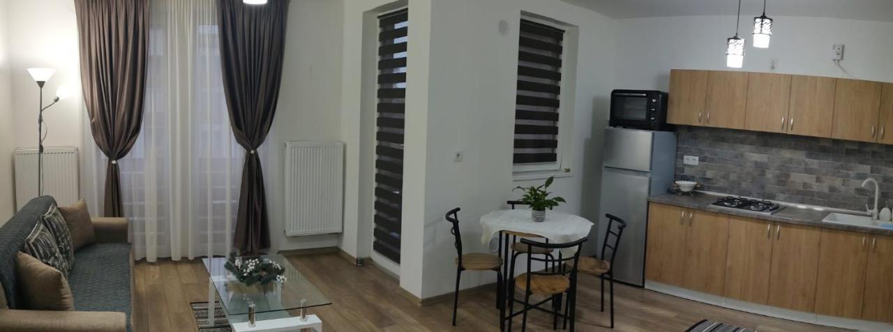 Casa Ioana Daire Târgu-Mureş Dış mekan fotoğraf